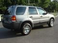 2007 Tungsten Grey Metallic Ford Escape XLS  photo #4