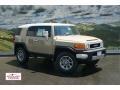 Quicksand - FJ Cruiser 4WD Photo No. 1