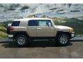 Quicksand - FJ Cruiser 4WD Photo No. 2