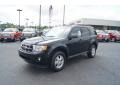 Ebony Black 2012 Ford Escape XLT Exterior