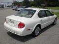 Icelandic White Pearl - Maxima GXE Photo No. 4