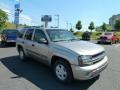 Light Pewter Metallic - TrailBlazer LS 4x4 Photo No. 1