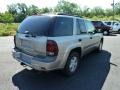Light Pewter Metallic - TrailBlazer LS 4x4 Photo No. 2