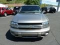 Light Pewter Metallic - TrailBlazer LS 4x4 Photo No. 6