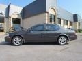 Gray Lustre Metallic - Maxima GLE Photo No. 4