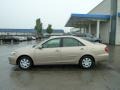 Desert Sand Mica - Camry LE Photo No. 2