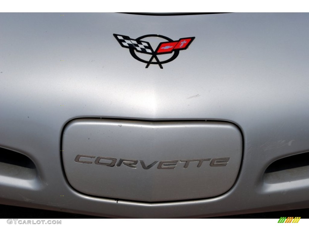 1998 Corvette Coupe - Sebring Silver Metallic / Light Gray photo #24