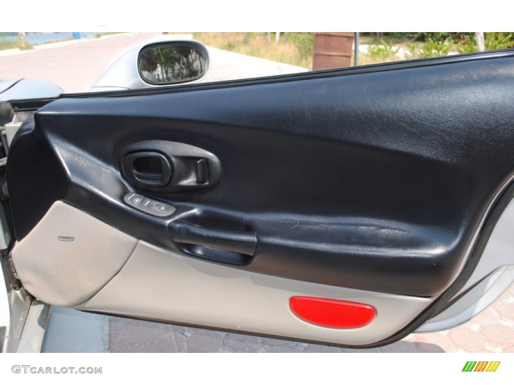 1998 Chevrolet Corvette Coupe Light Gray Door Panel Photo #51561351