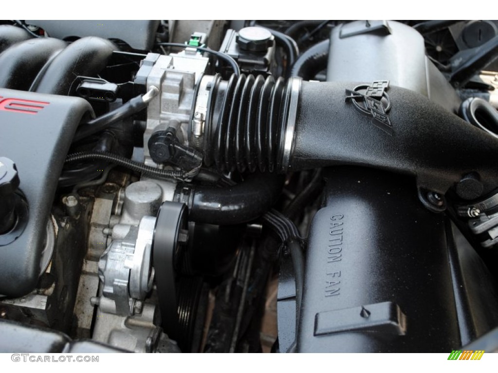 1998 Chevrolet Corvette Coupe 5.7 Liter OHV 16-Valve LS1 V8 Engine Photo #51561882