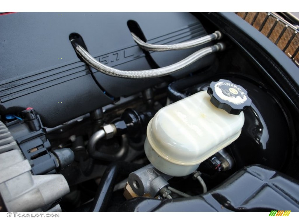 1998 Chevrolet Corvette Coupe 5.7 Liter OHV 16-Valve LS1 V8 Engine Photo #51561918