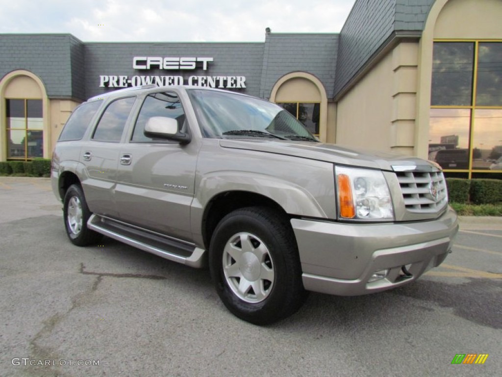 2003 Escalade  - Silver Sand / Shale photo #1