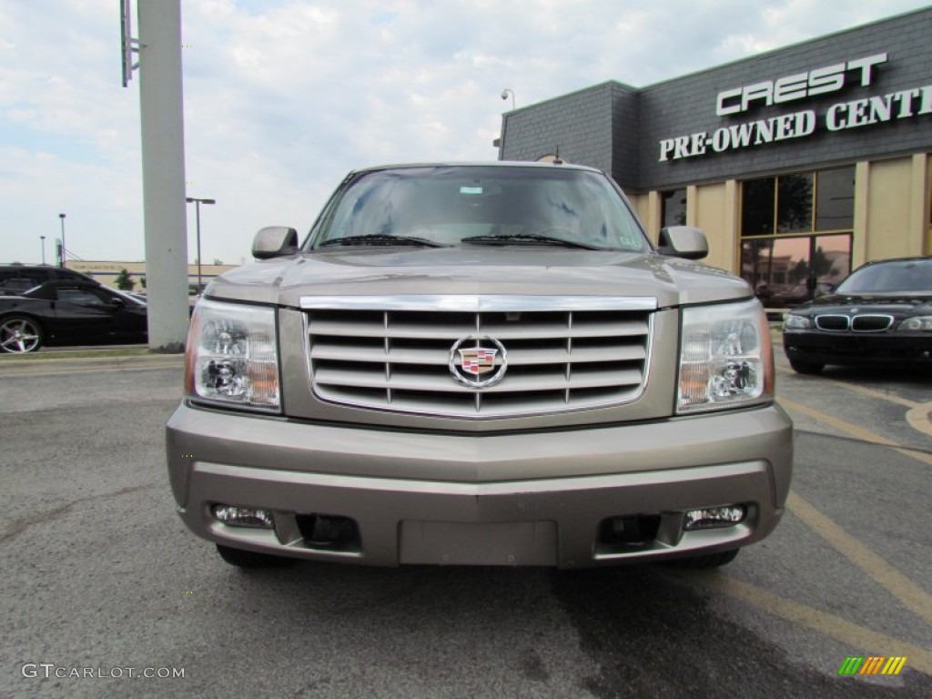 2003 Escalade  - Silver Sand / Shale photo #2