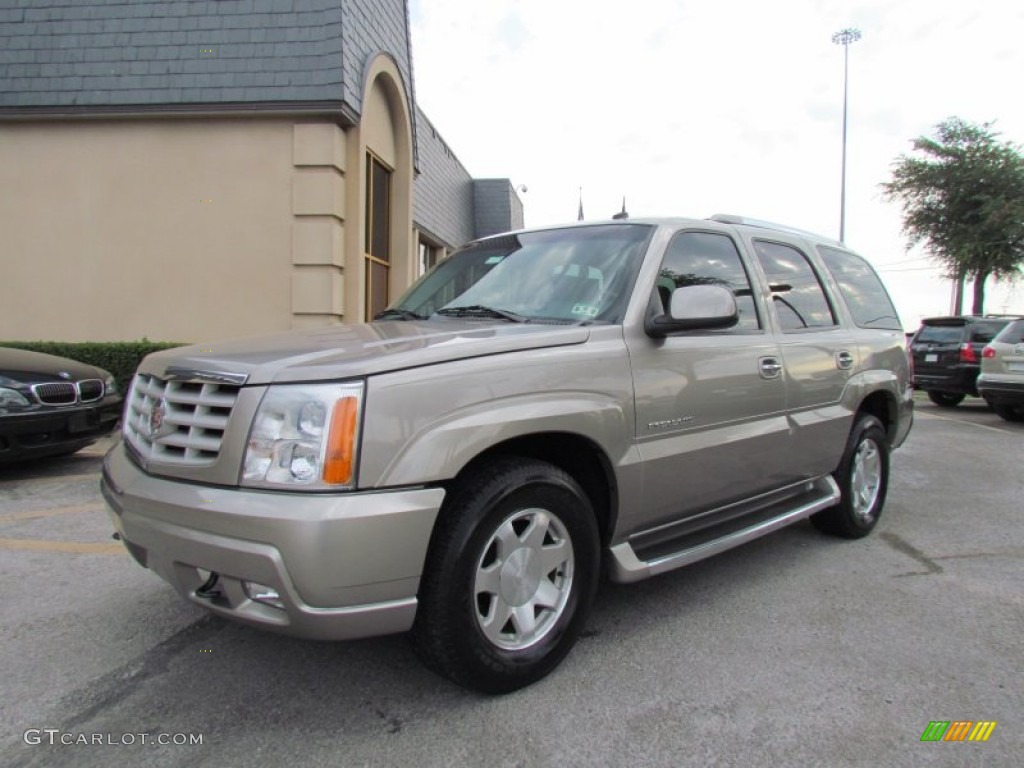 2003 Escalade  - Silver Sand / Shale photo #3