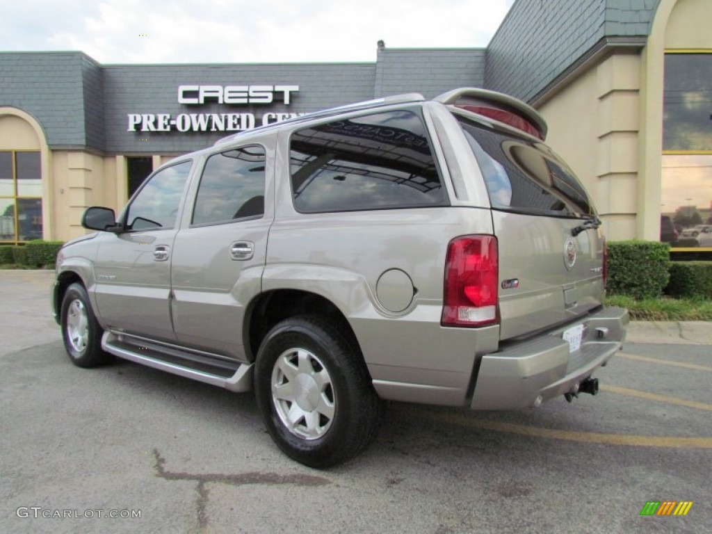2003 Escalade  - Silver Sand / Shale photo #5