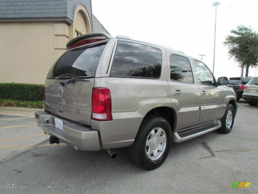 2003 Escalade  - Silver Sand / Shale photo #6