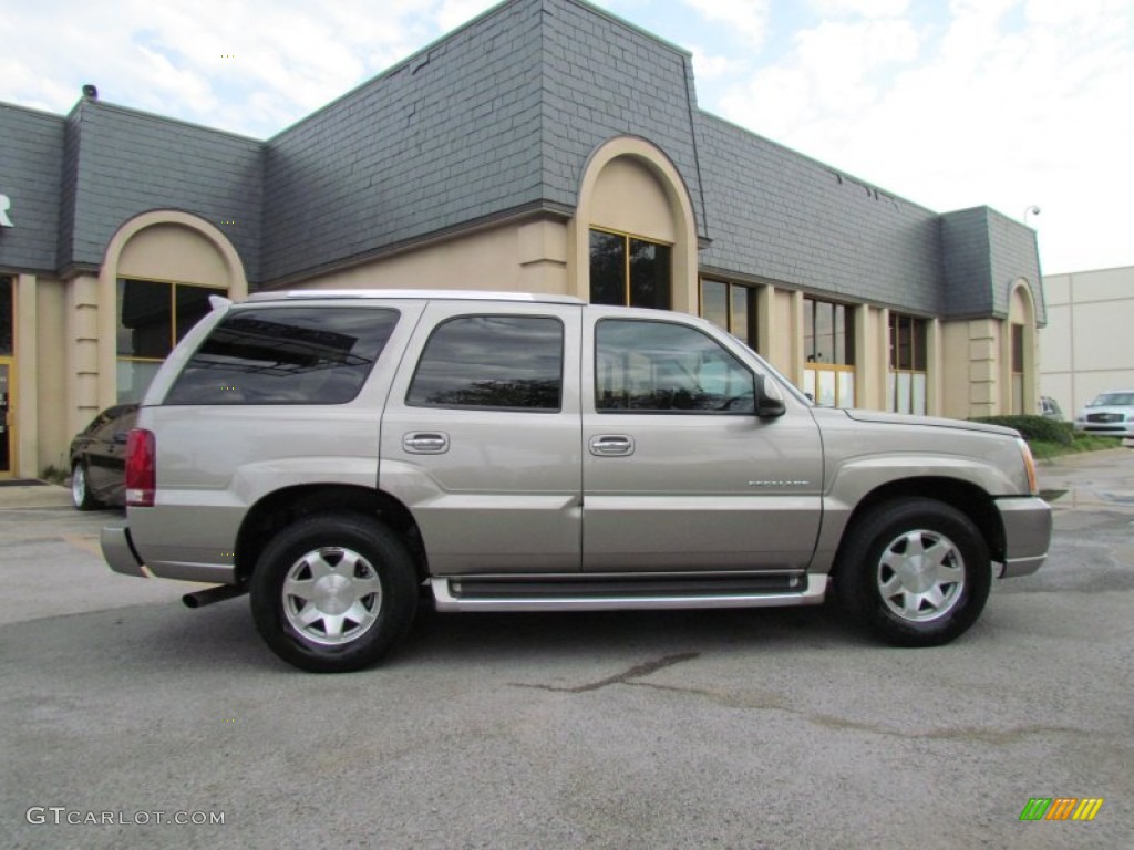 2003 Escalade  - Silver Sand / Shale photo #7