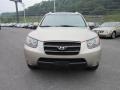 2007 Golden Beige Hyundai Santa Fe SE 4WD  photo #2