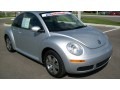Reflex Silver - New Beetle TDI Coupe Photo No. 6