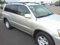 Millenium Silver Metallic - Highlander  Photo No. 20