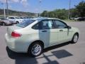 2010 Natural Neutral Metallic Ford Focus SE Sedan  photo #5