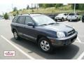 Pewter Gray - Santa Fe GLS 4WD Photo No. 1
