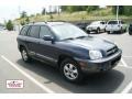 2005 Pewter Gray Hyundai Santa Fe GLS 4WD  photo #1