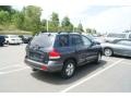 Pewter Gray - Santa Fe GLS 4WD Photo No. 2