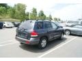 2005 Pewter Gray Hyundai Santa Fe GLS 4WD  photo #2