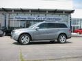 Palladium Silver Metallic - GL 450 4Matic Photo No. 1