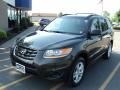 Black Forest Green Metallic - Santa Fe GLS 4WD Photo No. 1