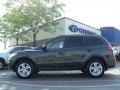 Black Forest Green Metallic - Santa Fe GLS 4WD Photo No. 6