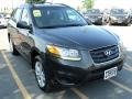 2010 Black Forest Green Metallic Hyundai Santa Fe GLS 4WD  photo #11