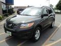 Black Forest Green Metallic - Santa Fe GLS Photo No. 1
