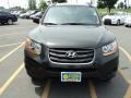 2010 Black Forest Green Metallic Hyundai Santa Fe GLS  photo #12