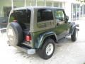 2004 Shale Green Metallic Jeep Wrangler Sahara 4x4  photo #4