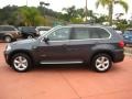 Platinum Gray Metallic - X5 xDrive50i Photo No. 2