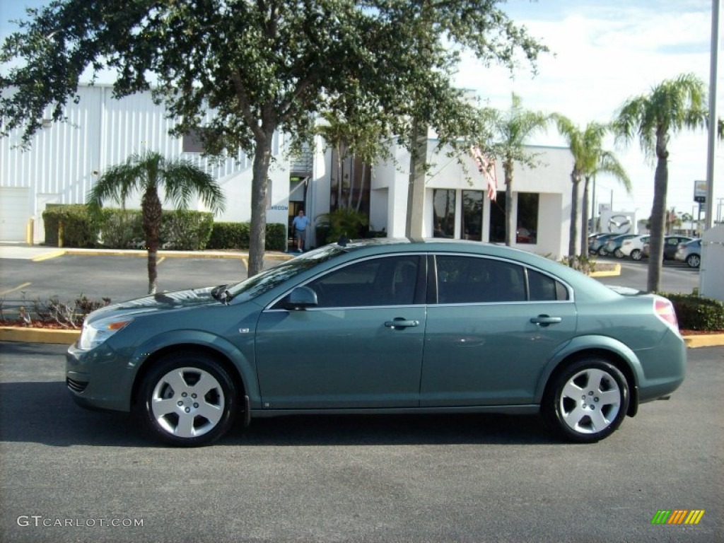 2009 Aura XE - Silver Moss / Gray photo #3