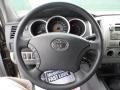 Graphite Gray Steering Wheel Photo for 2009 Toyota Tacoma #51599734