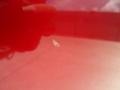2010 Red Candy Metallic Ford F150 Lariat SuperCrew 4x4  photo #33