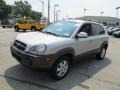 Sahara Silver - Tucson GLS V6 4WD Photo No. 6
