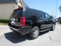 Black Raven - Escalade AWD Photo No. 6