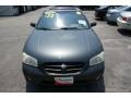 Gray Lustre Metallic - Maxima SE Photo No. 2