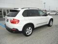 Alpine White - X5 3.0si Photo No. 3