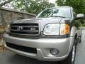 2003 Phantom Gray Pearl Toyota Sequoia SR5  photo #19