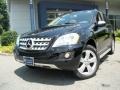 Black - ML 350 4Matic Photo No. 1
