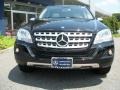 Black - ML 350 4Matic Photo No. 3