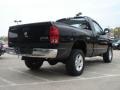 2006 Black Dodge Ram 1500 ST Regular Cab 4x4  photo #3