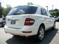Arctic White - ML 350 4Matic Photo No. 5