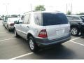 Brilliant Silver Metallic - ML 320 4Matic Photo No. 3
