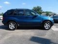 2002 Topaz Blue Metallic BMW X5 3.0i  photo #4